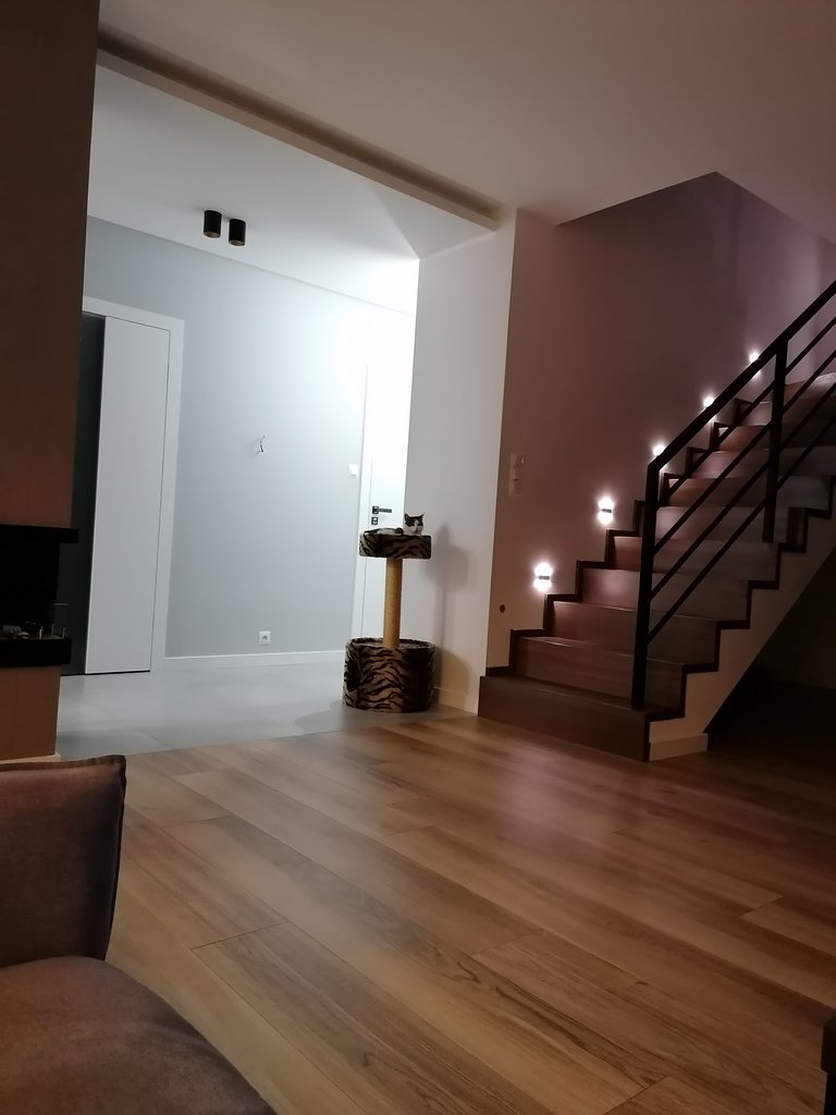 Schody z podświetleniem